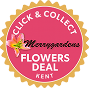 Click and Collect Flowers