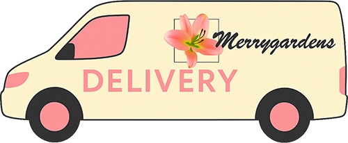 Merrygardens Flowers Florist Deal