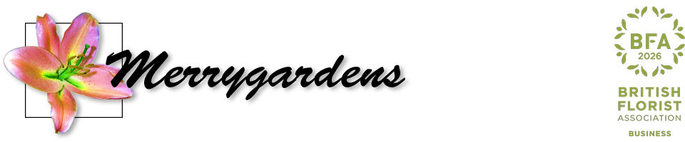 Merrygardens Florist Deal Kent